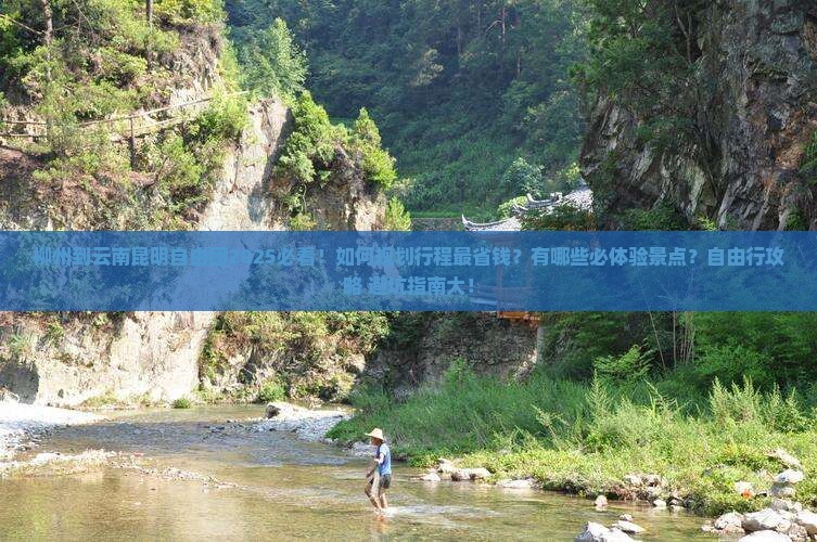 柳州到云南昆明自由团