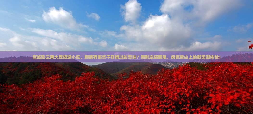 宣城到云南大理旅游小吃