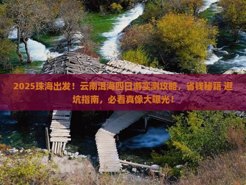 珠海到云南洱海四日游