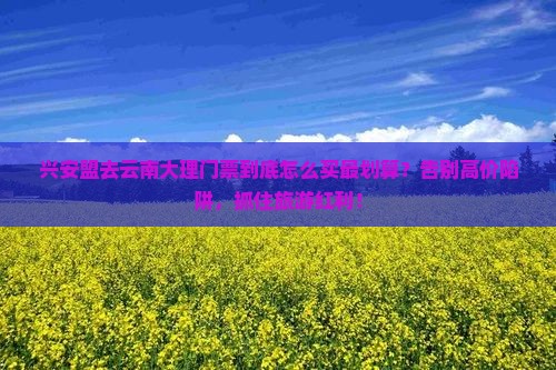 兴安盟去云南大理门票