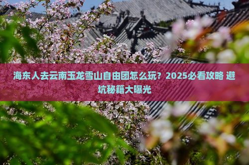 海东到云南玉龙雪山自由团