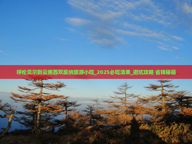 呼伦贝尔到云南西双版纳旅游小吃