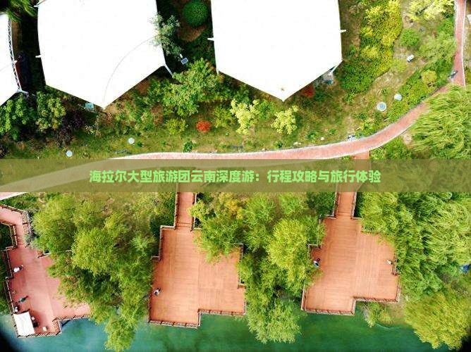 海拉尔大型旅游团云南深度游：行程攻略与旅行体验
