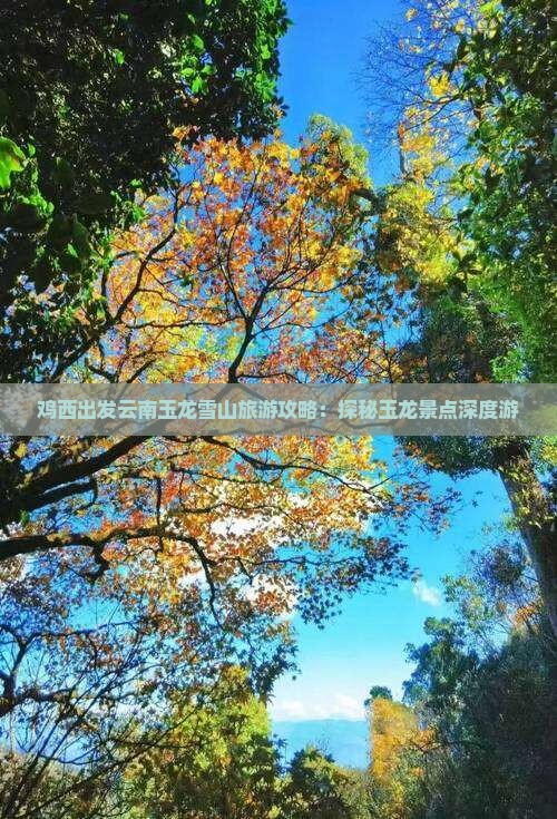 鸡西出发云南玉龙雪山旅游攻略：探秘玉龙景点深度游