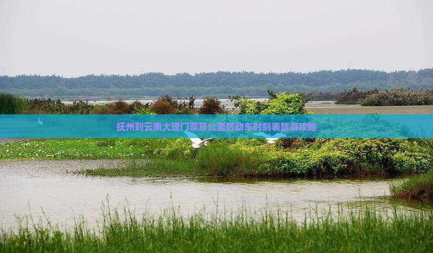 抚州到云南大理门票及公里数动车时刻表旅游攻略