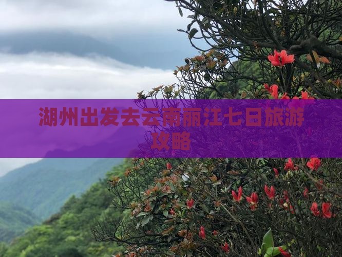 湖州出发去云南丽江七日旅游攻略