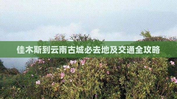 佳木斯到云南古城必去地及交通全攻略