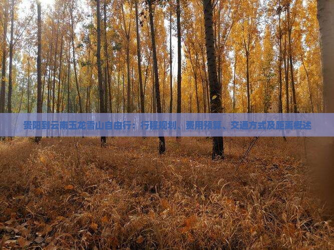 贵阳到云南玉龙雪山自由行：行程规划、费用预算、交通方式及距离概述