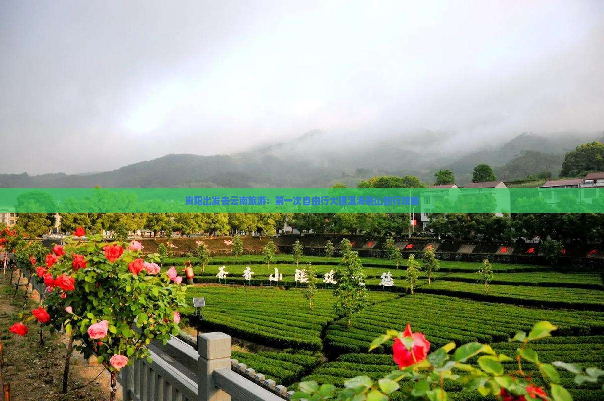 资阳出发去云南旅游：第一次自由行大理洱海苍山旅行攻略