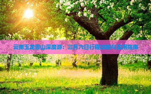 云南玉龙雪山深度游：三月六日行程攻略与实用指南