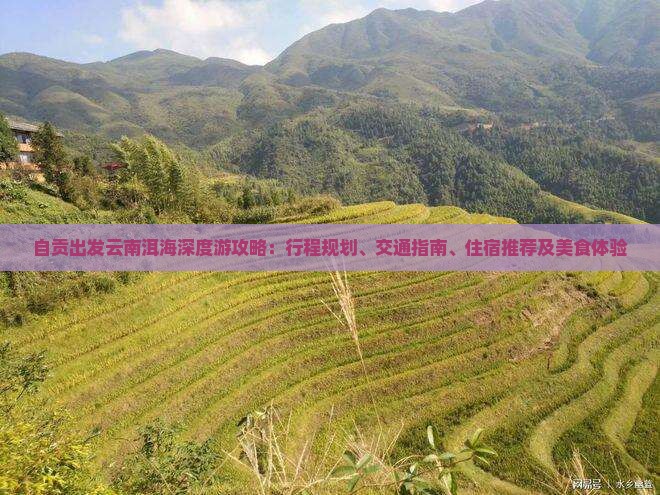自贡出发云南洱海深度游攻略：行程规划、交通指南、住宿推荐及美食体验