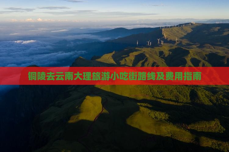 铜陵去云南大理旅游小吃街路线及费用指南