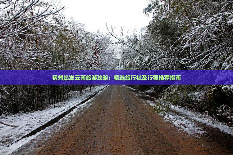 宿州出发云南旅游攻略：精选旅行社及行程推荐指南