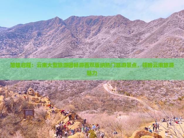 楚雄启程：云南大型旅游团畅游西双版纳热门旅游景点，领略云南旅游魅力