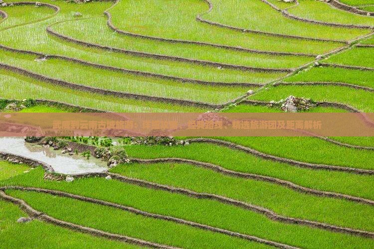 武威到云南古城旅游：详细攻略、经典路线、精选旅游团及距离解析