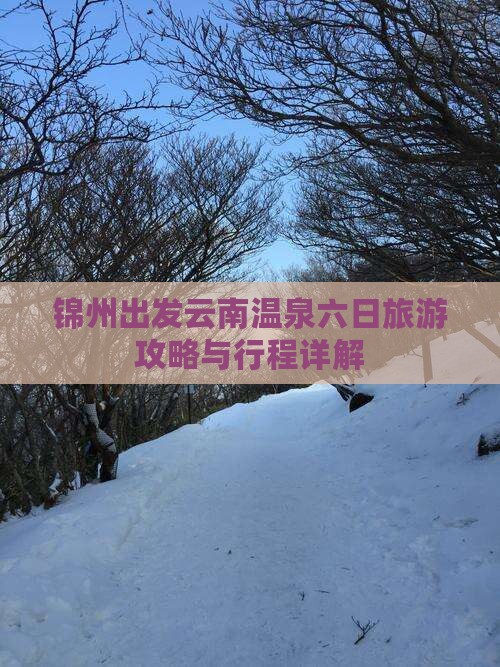 锦州出发云南温泉六日旅游攻略与行程详解