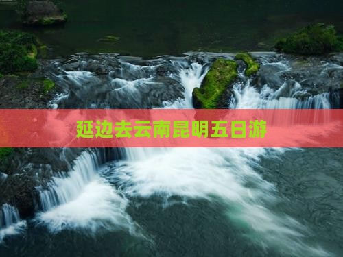 延边去云南昆明五日游