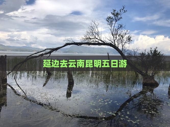 延边去云南昆明五日游