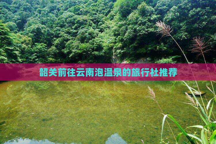 韶关前往云南泡温泉的旅行社推荐