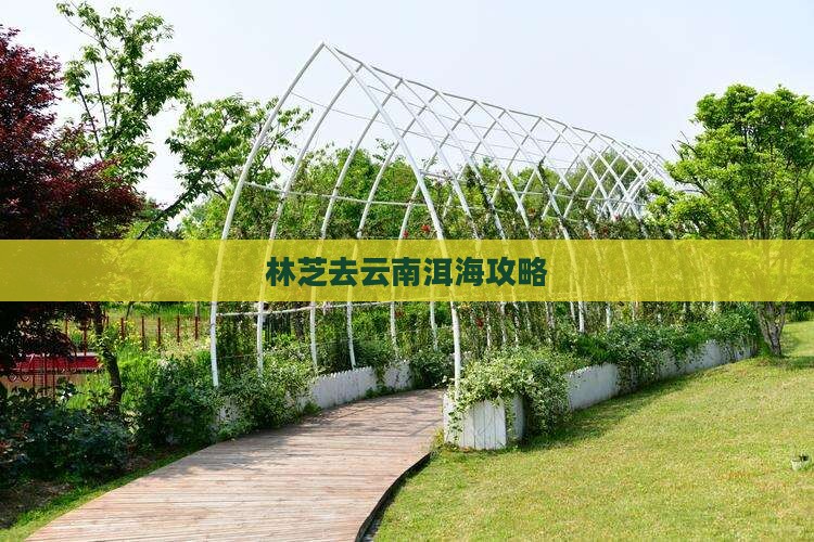 林芝去云南洱海攻略