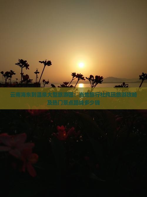 云南海东到温泉大型旅游团：当地旅行社纯玩旅游攻略及热门景点路线多少钱