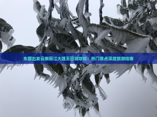 东营出发云南丽江大理五日游攻略：热门景点深度旅游指南