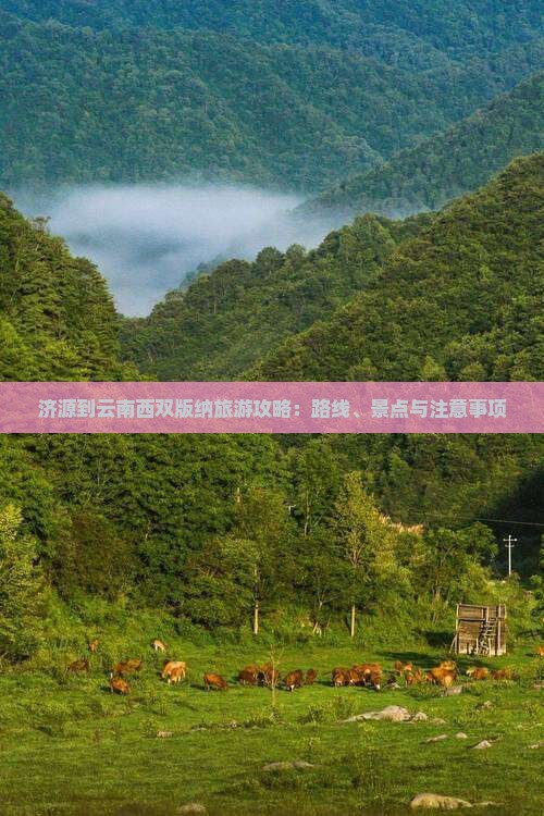 济源到云南西双版纳旅游攻略：路线、景点与注意事项
