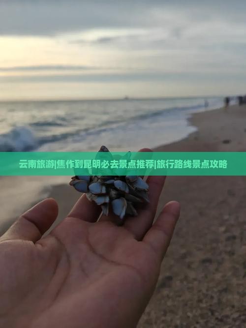 云南旅游|焦作到昆明必去景点推荐|旅行路线景点攻略