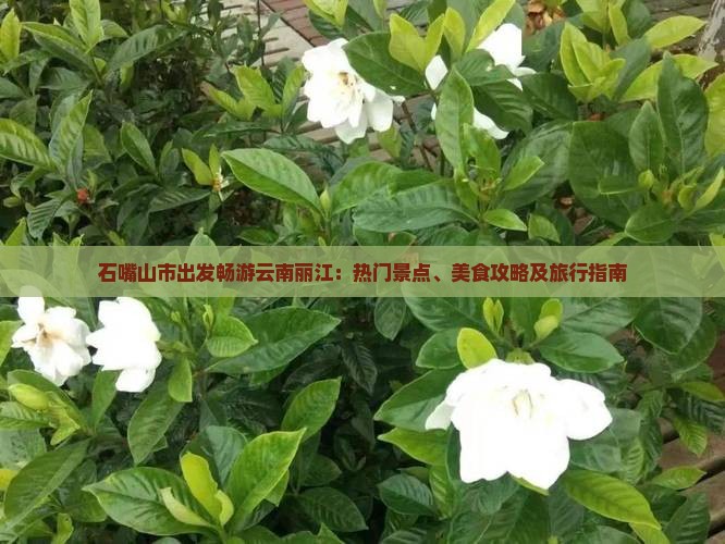 石嘴山市出发畅游云南丽江：热门景点、美食攻略及旅行指南