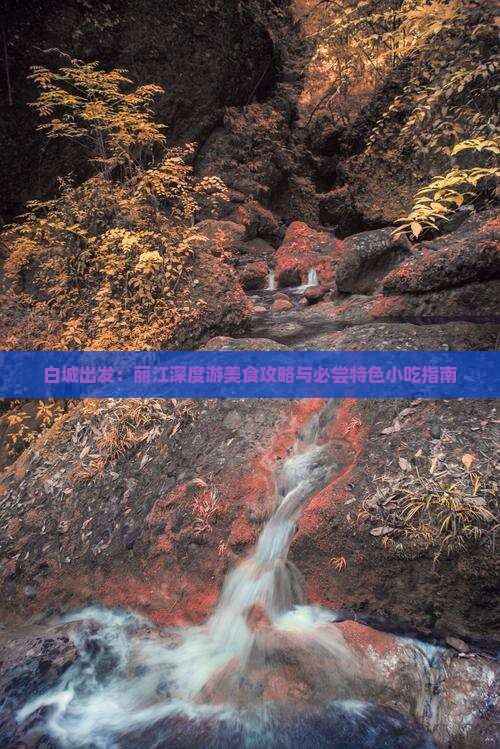 白城出发：丽江深度游美食攻略与必尝特色小吃指南