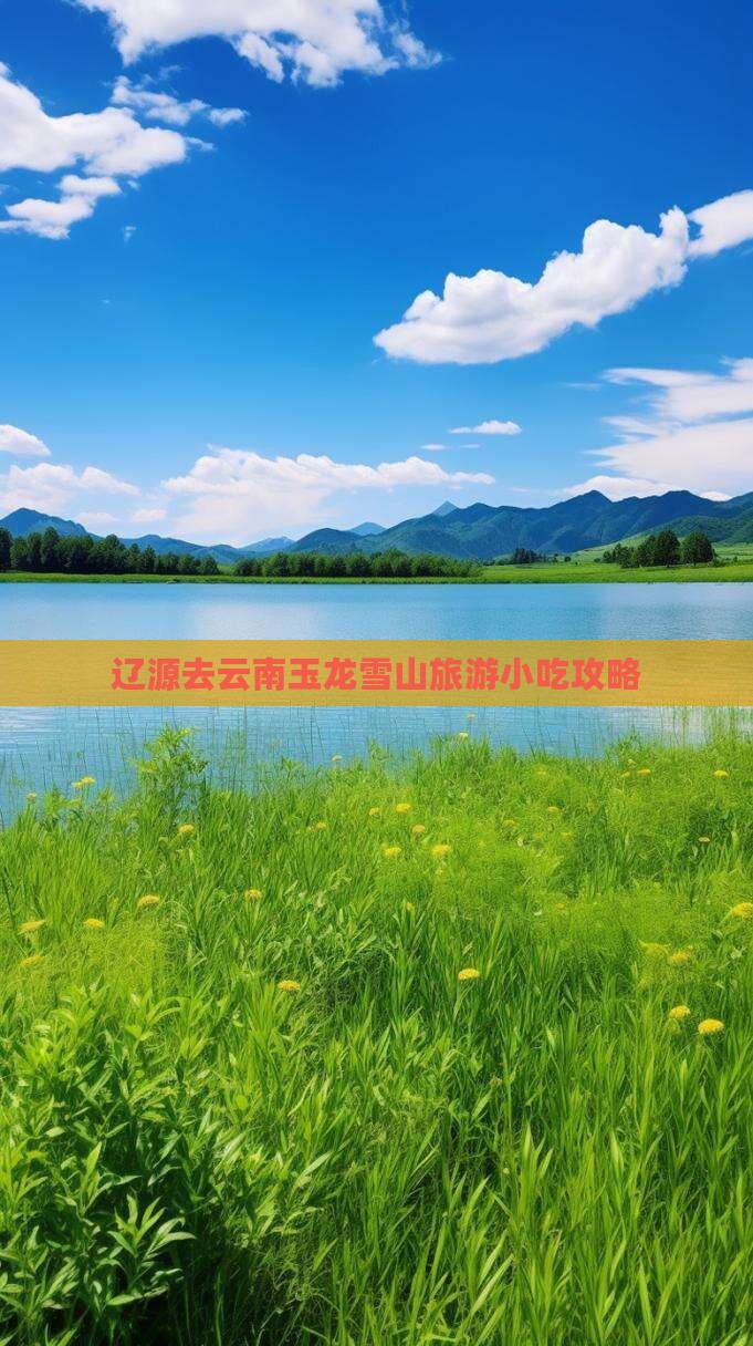 辽源去云南玉龙雪山旅游小吃攻略