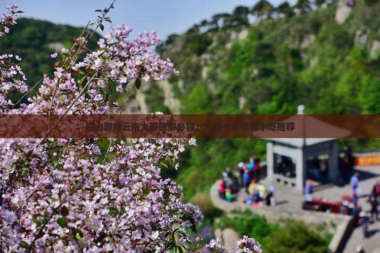 白山游客云南大理旅游必尝：大理十大美食小吃推荐