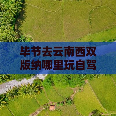 毕节去云南西双版纳哪里玩自驾游攻略
