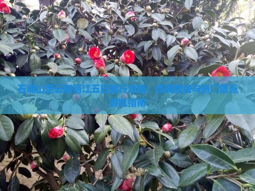 石嘴山至云南丽江五日旅行攻略：经典路线与热门景点游览指南