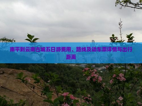 南平到云南古城五日游费用、路线及动车票详情与出行距离