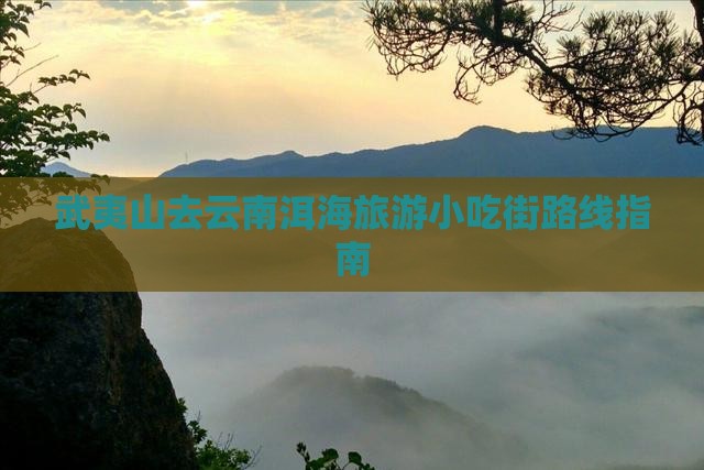 武夷山去云南洱海旅游小吃街路线指南