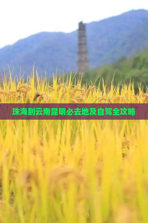 珠海到云南昆明必去地及自驾全攻略