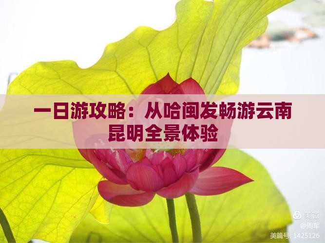 一日游攻略：从哈闽发畅游云南昆明全景体验