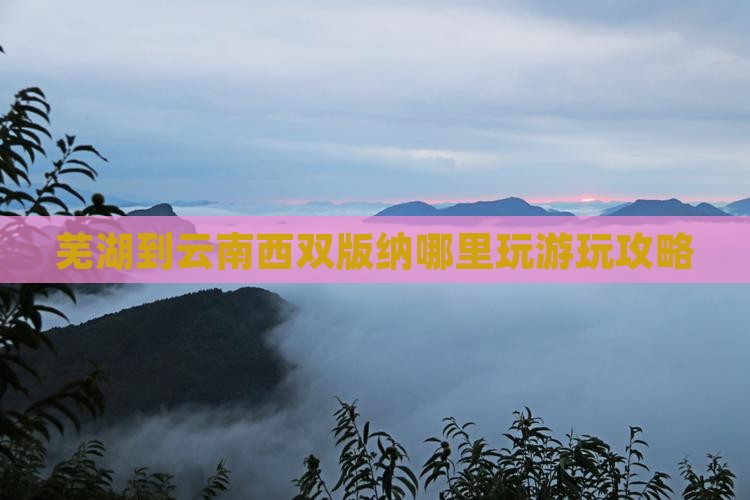 芜湖到云南西双版纳哪里玩游玩攻略