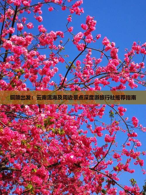 铜陵出发：云南洱海及周边景点深度游旅行社推荐指南