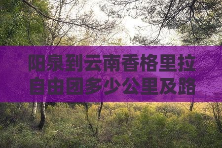 阳泉到云南香格里拉自由团多少公里及路线