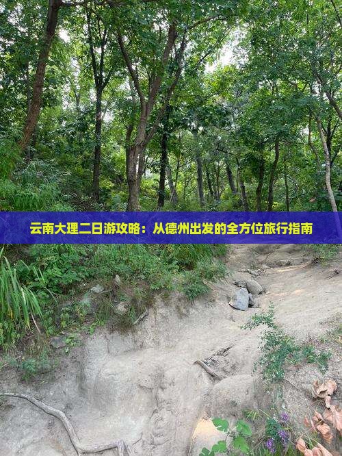 云南大理二日游攻略：从德州出发的全方位旅行指南