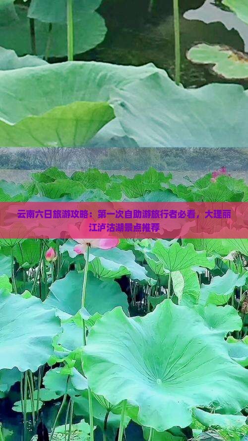 云南六日旅游攻略：第一次自助游旅行者必看，大理丽江泸沽湖景点推荐