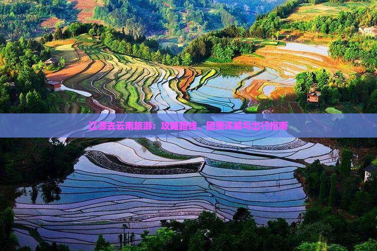辽源去云南旅游：攻略路线、团费详解与出行指南