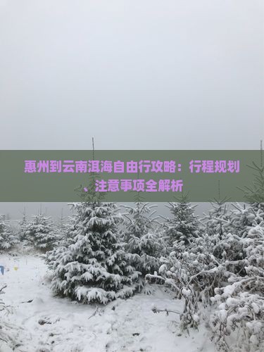 惠州到云南洱海自由行攻略：行程规划、注意事项全解析