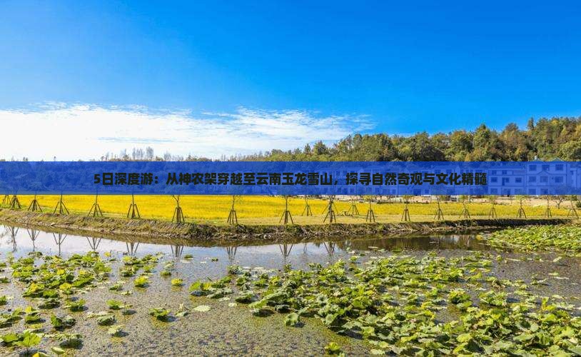 5日深度游：从神农架穿越至云南玉龙雪山，探寻自然奇观与文化精髓