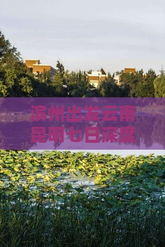 滨州出发云南昆明七日深度游攻略及行程安排