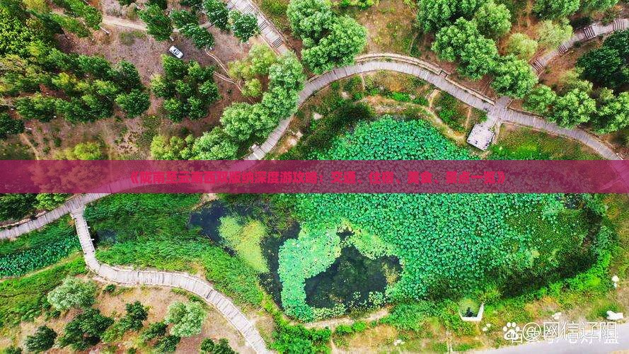 《陇南至云南西双版纳深度游攻略：交通、住宿、美食、景点一览》