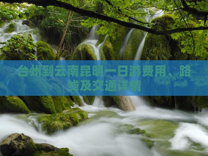 台州到云南昆明一日游费用、路线及交通详情