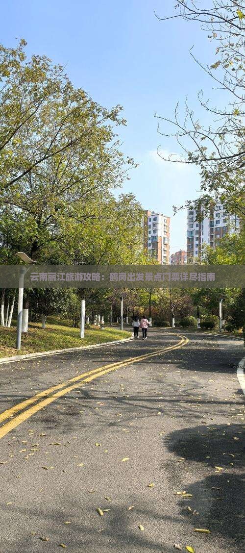 云南丽江旅游攻略：鹤岗出发景点门票详尽指南